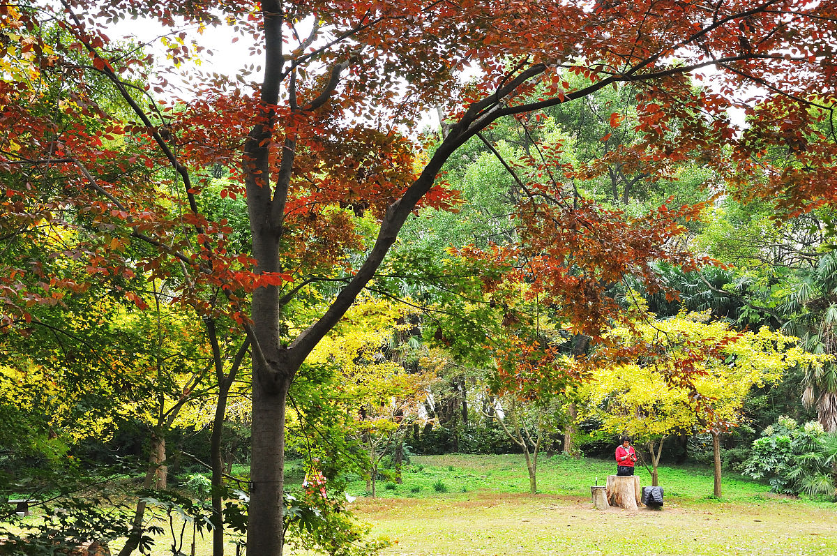 上海徐汇梦公园隐藏在大都市的景色