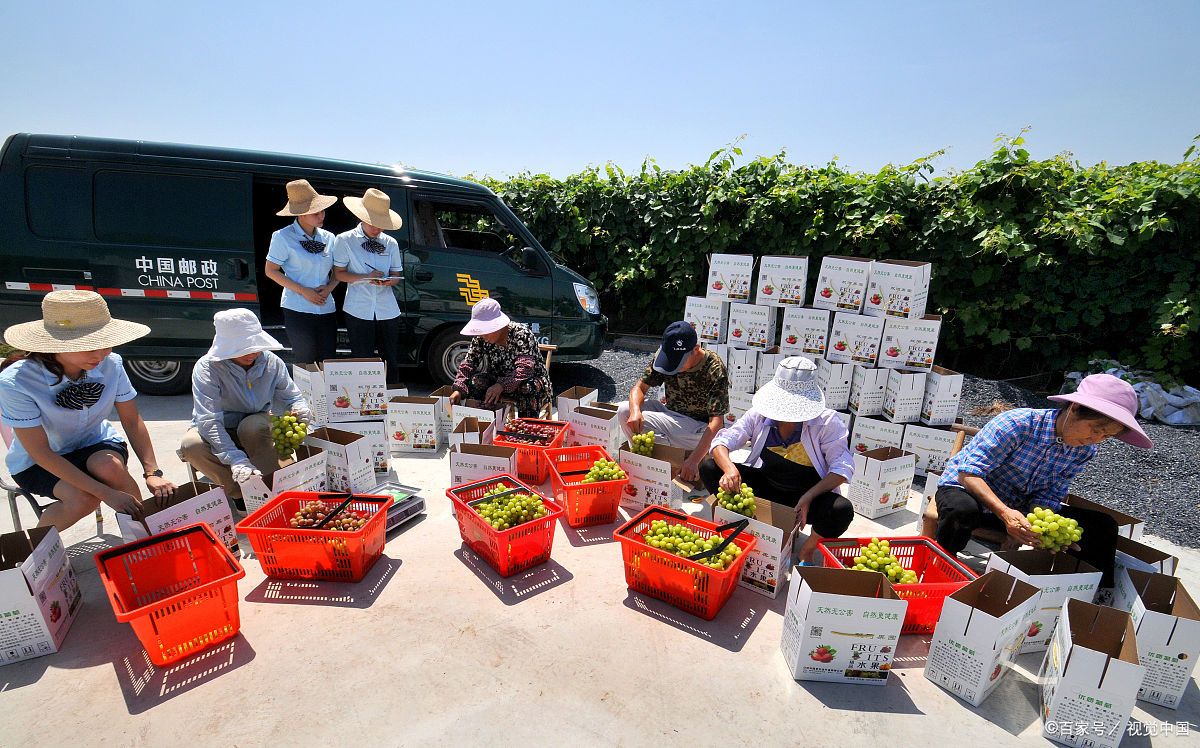 新鲜农产品顺利上线