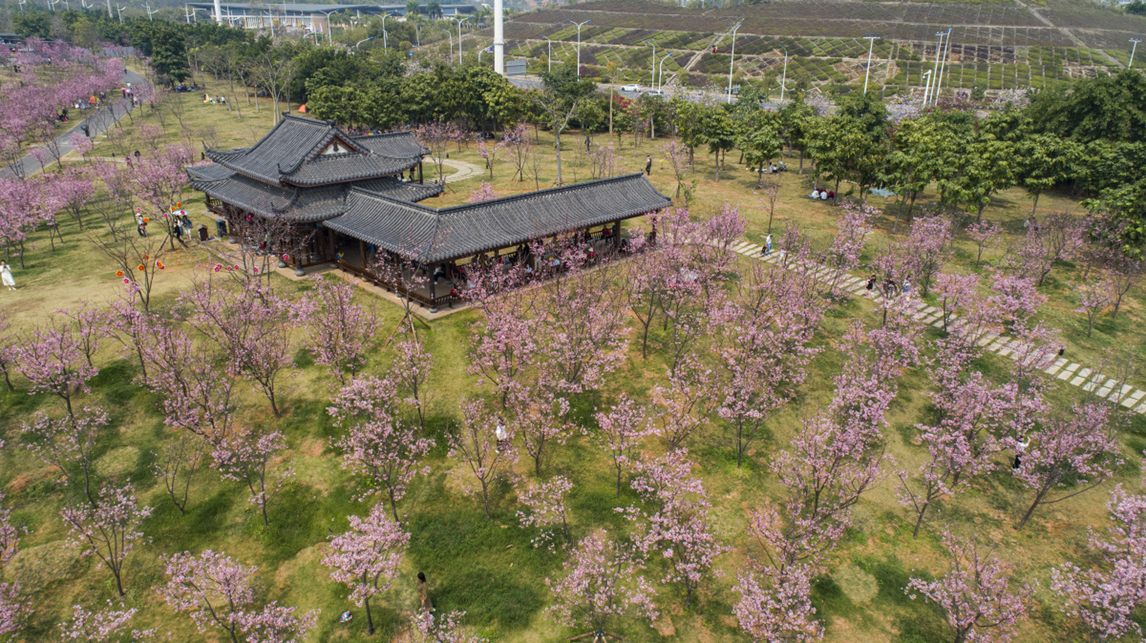 南宁青秀山 南宁青秀山是南宁比较有代表性的一个景点,也是南宁最受