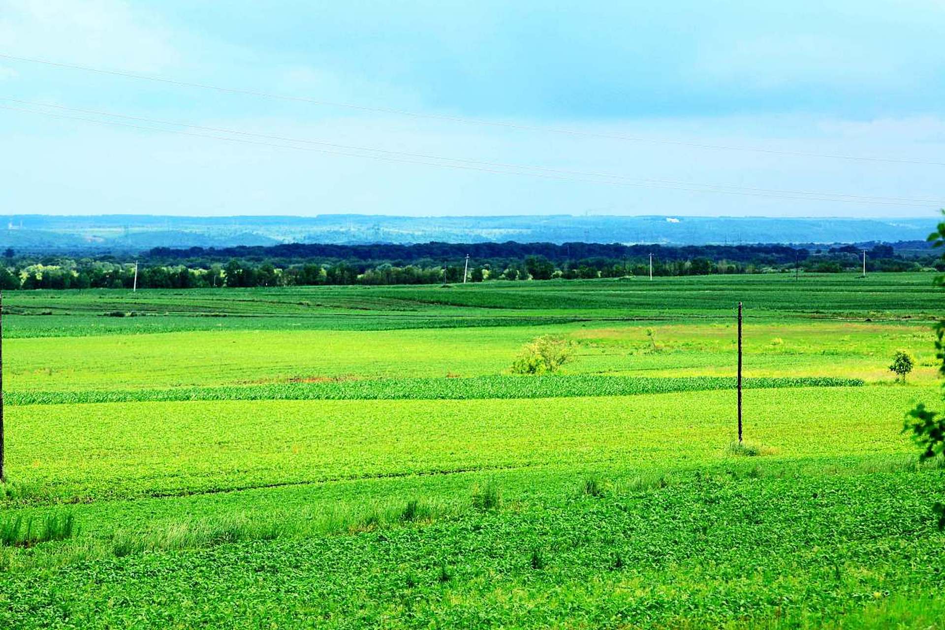 不要愁苦,不要逃避,面对一切,相信美好.