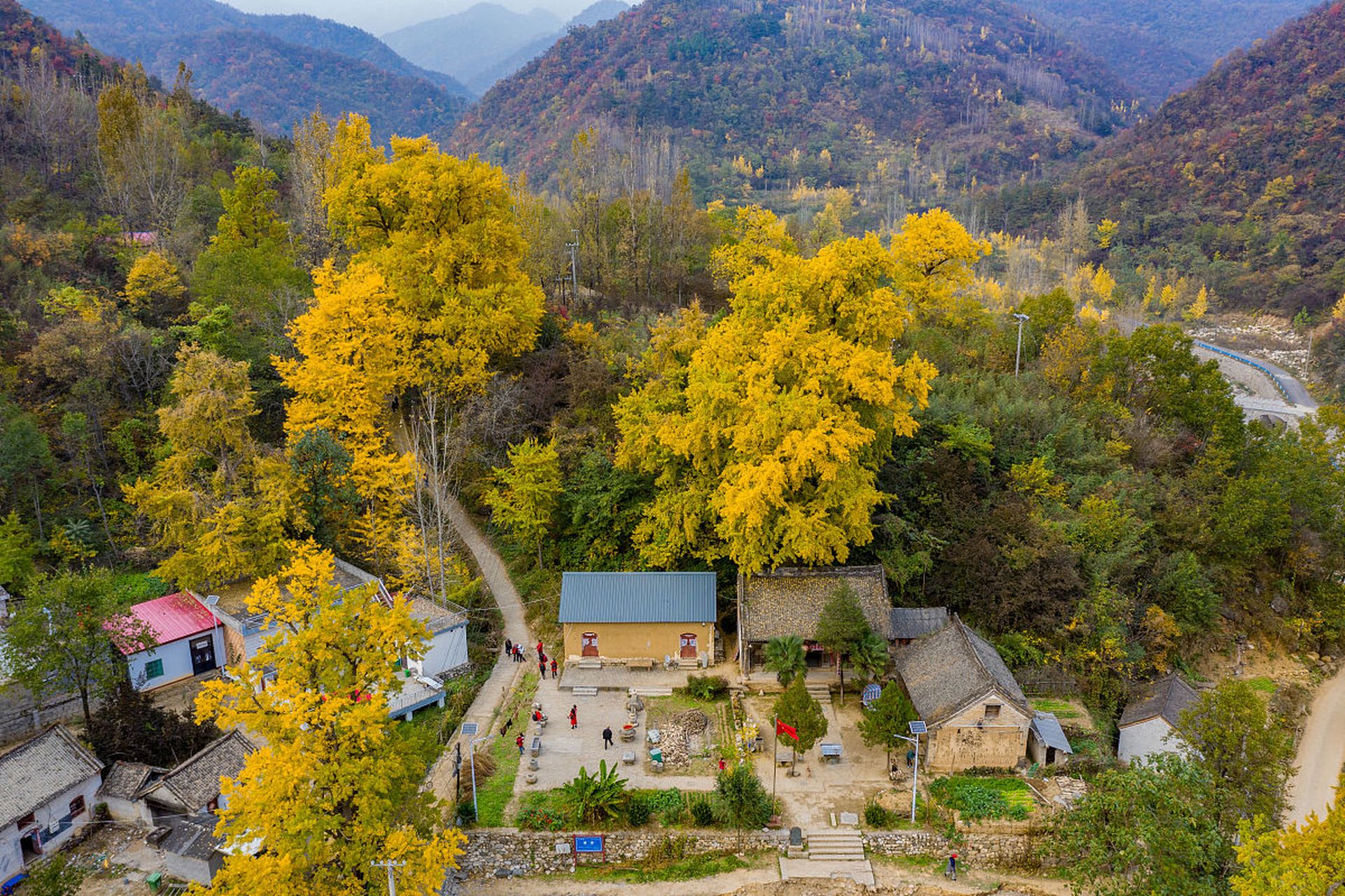 去年夏天,听说嵩县白河镇可凉快,就导航到白河镇,找了一家农家乐住下.