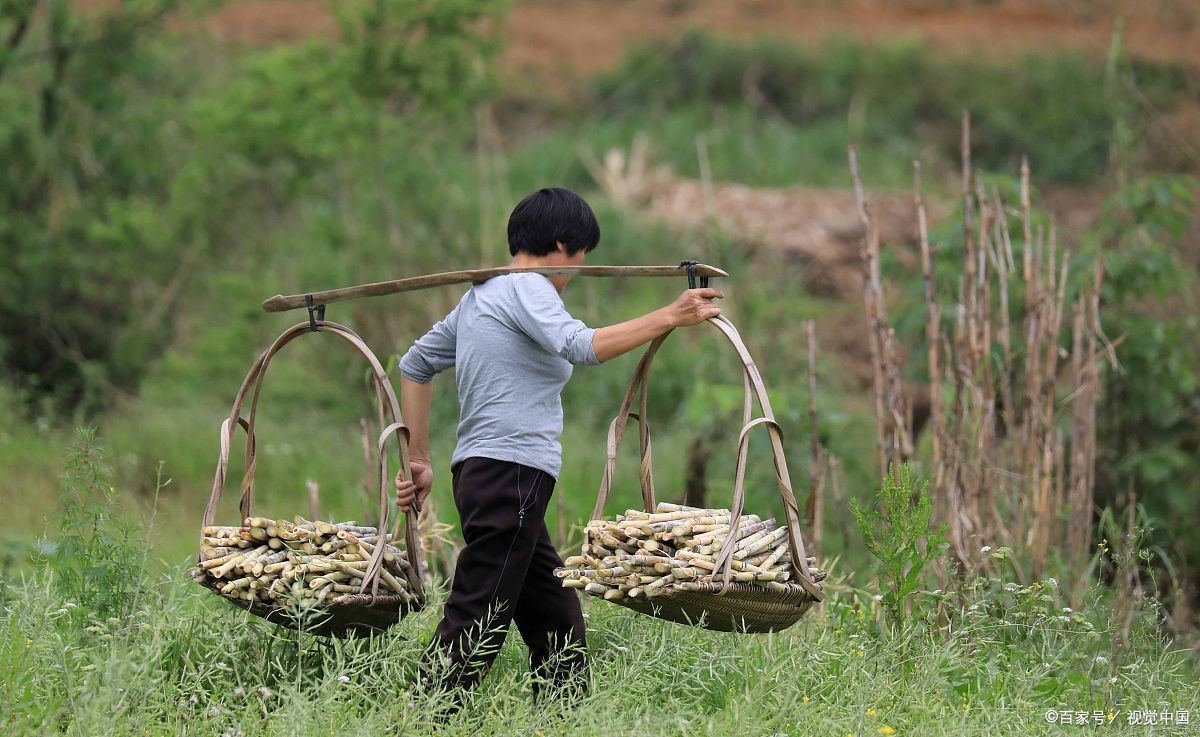 当年,我结婚,装修没地方住,想住他家