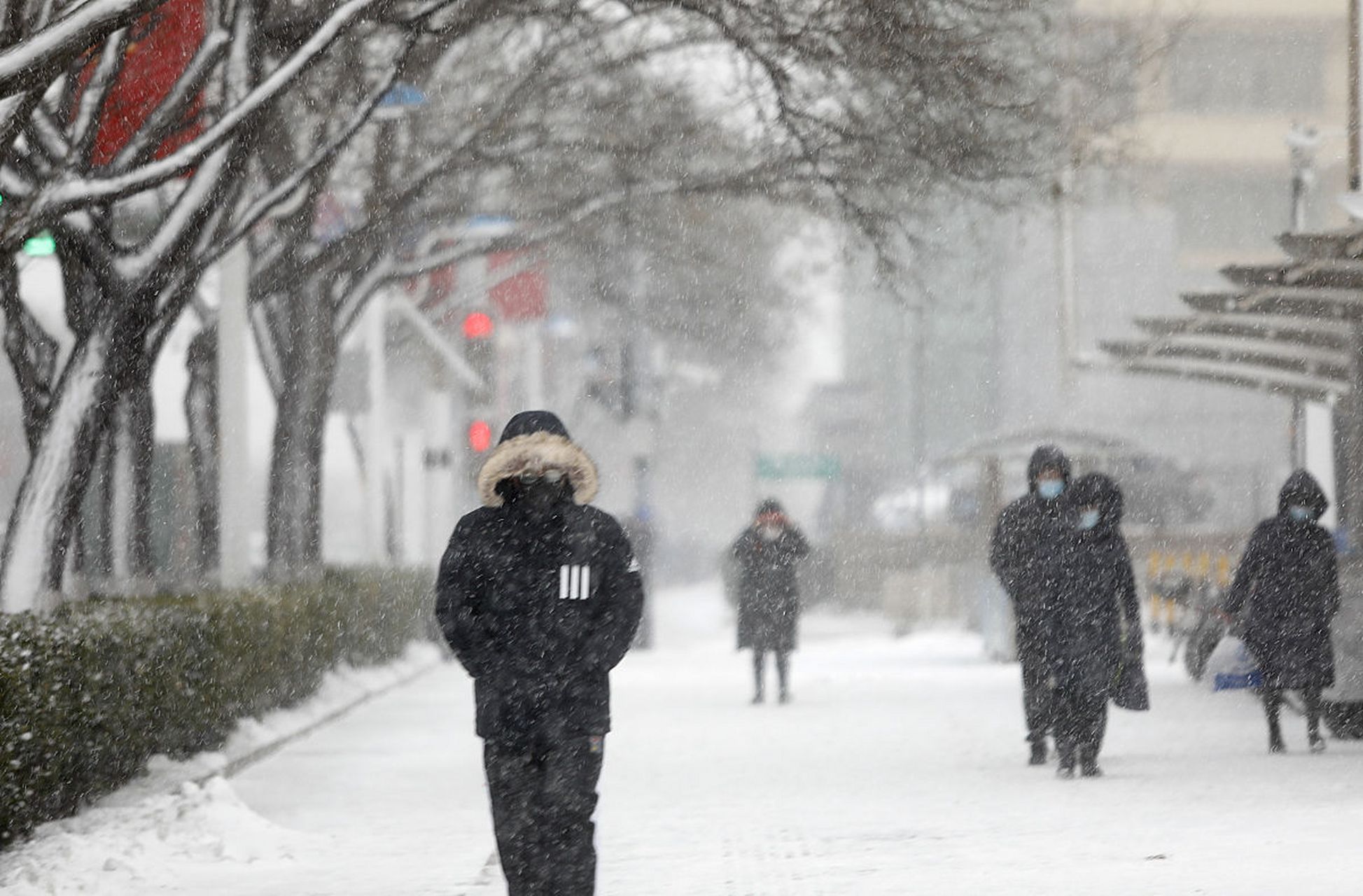山东威海又迎降雪啦!