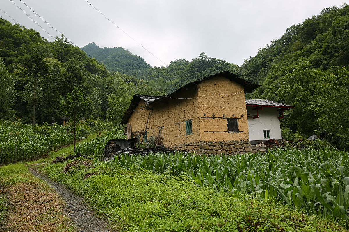 农村瓦屋图片图片