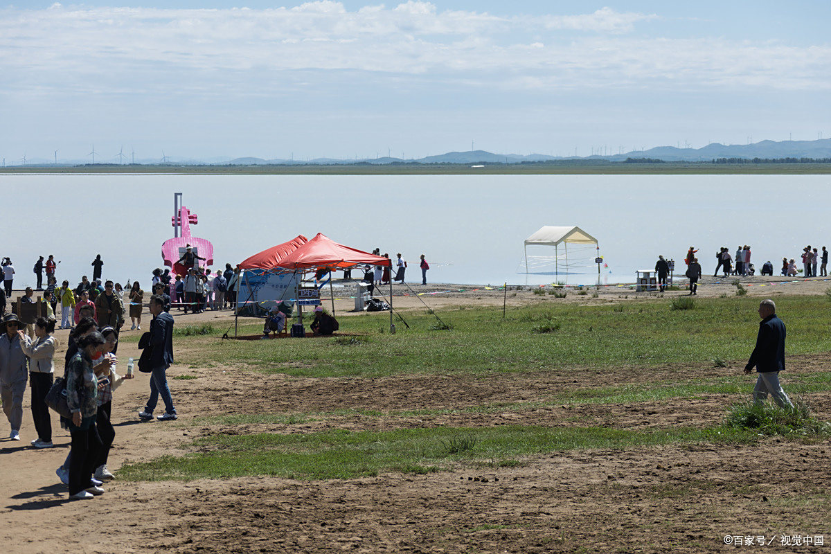 朔州怀仁金沙滩,生态旅游区夏日绿意浓!