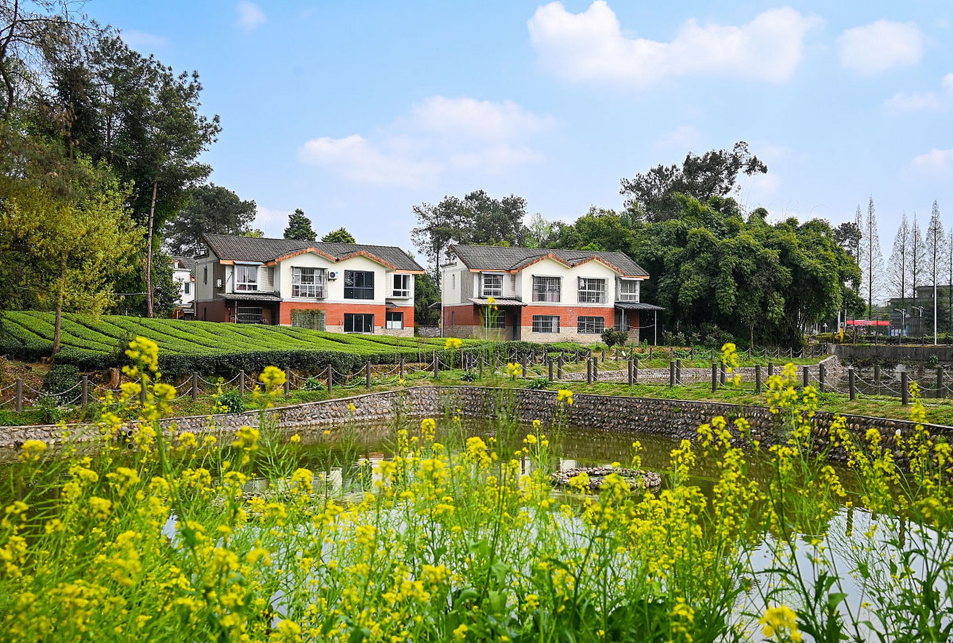 成佳茶乡,位于成都市蒲江县的成佳镇,是一处集自然风光,人文底蕴与茶