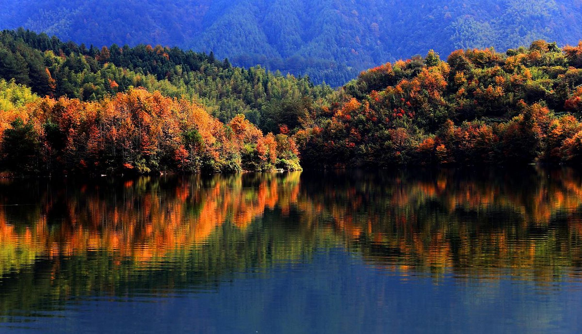 重庆秋天,山水交融的美景 重庆秋天的山水交融的美景确实令人陶醉.