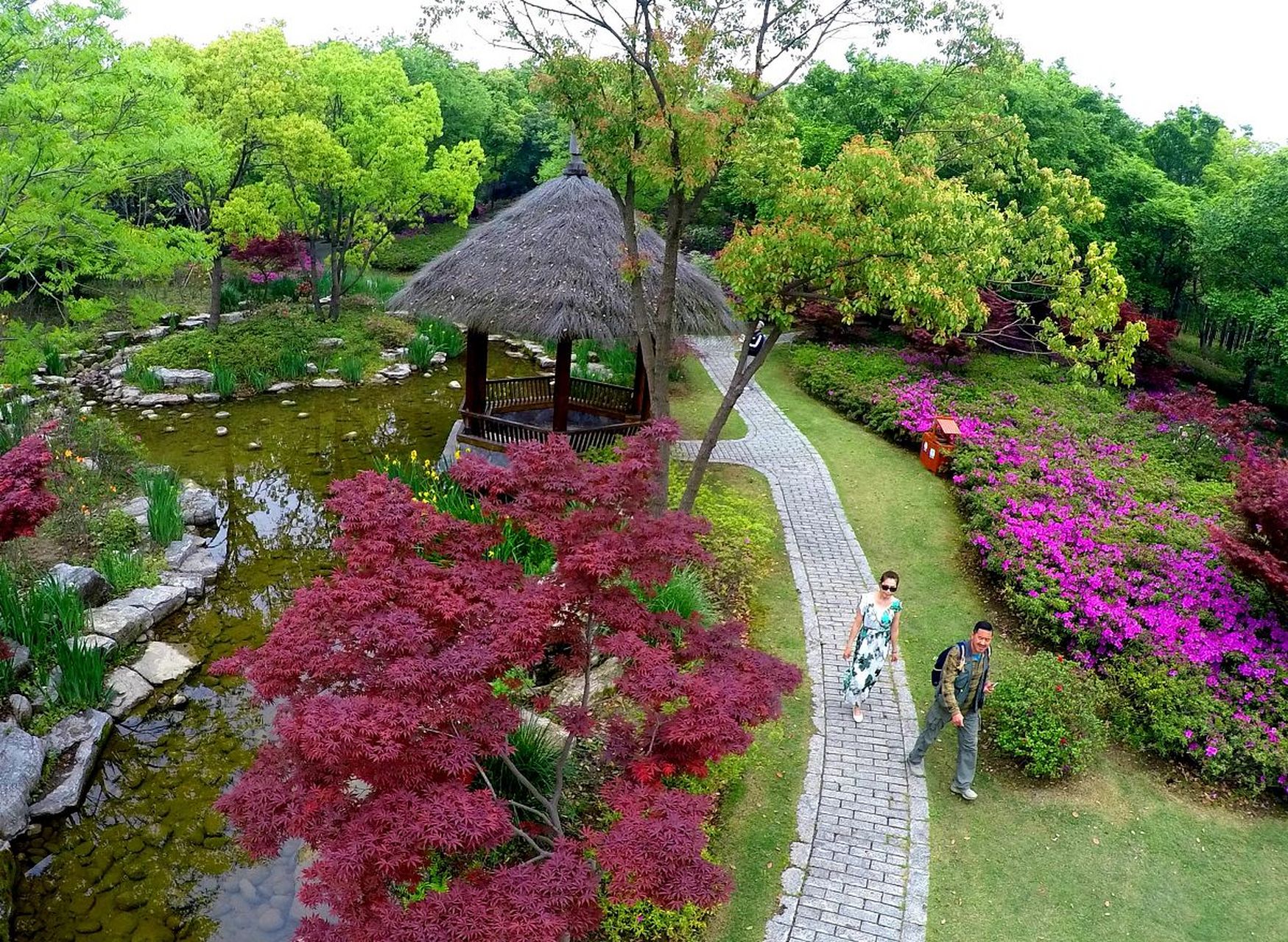亚运fun体验#杭州植物园坐落在杭州市西湖区,是一个展示和研究植物的