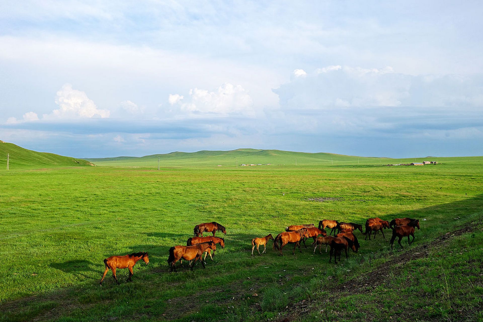 红原大草原是位于四川阿坝藏族羌族自治州的一片壮丽草原,拥有广袤的