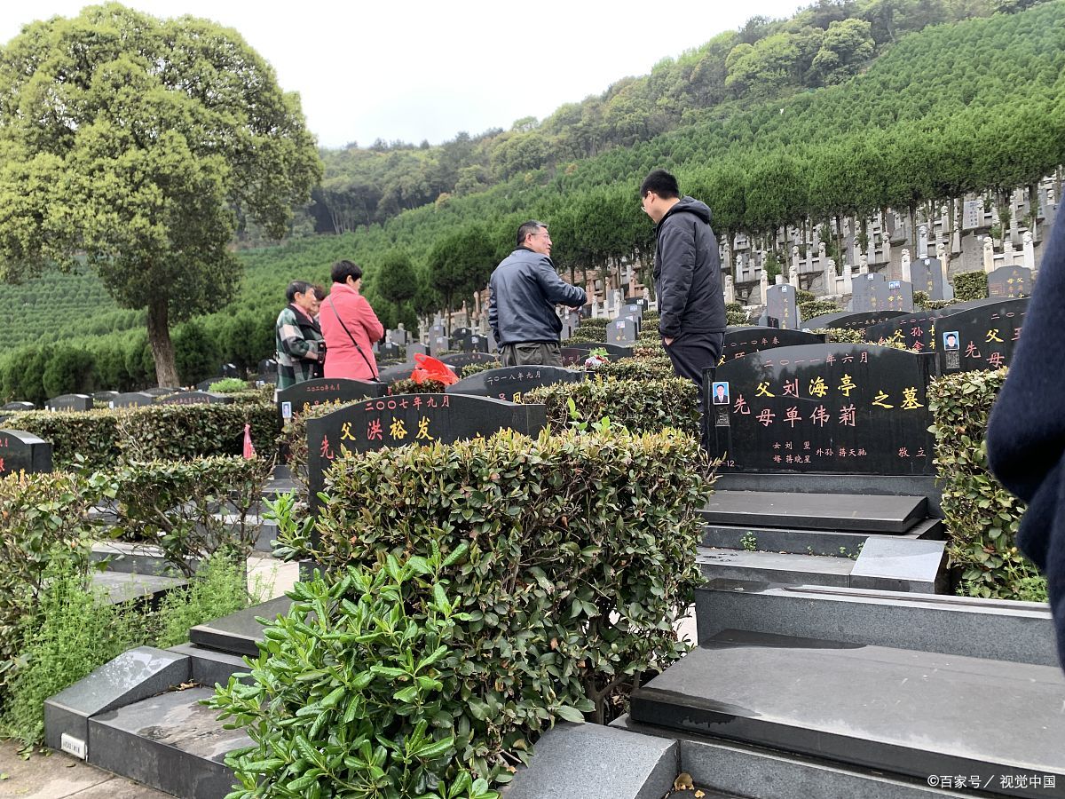 青竹园墓地介绍|这里为大家介绍两个名为"青竹园"的墓地: 1.