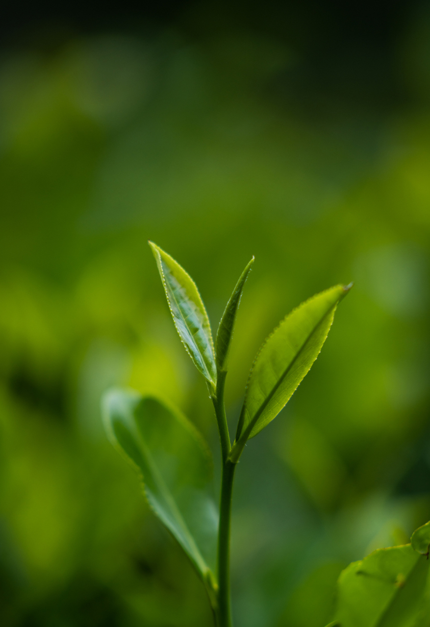 格物致知,今天来格格钱这个物.