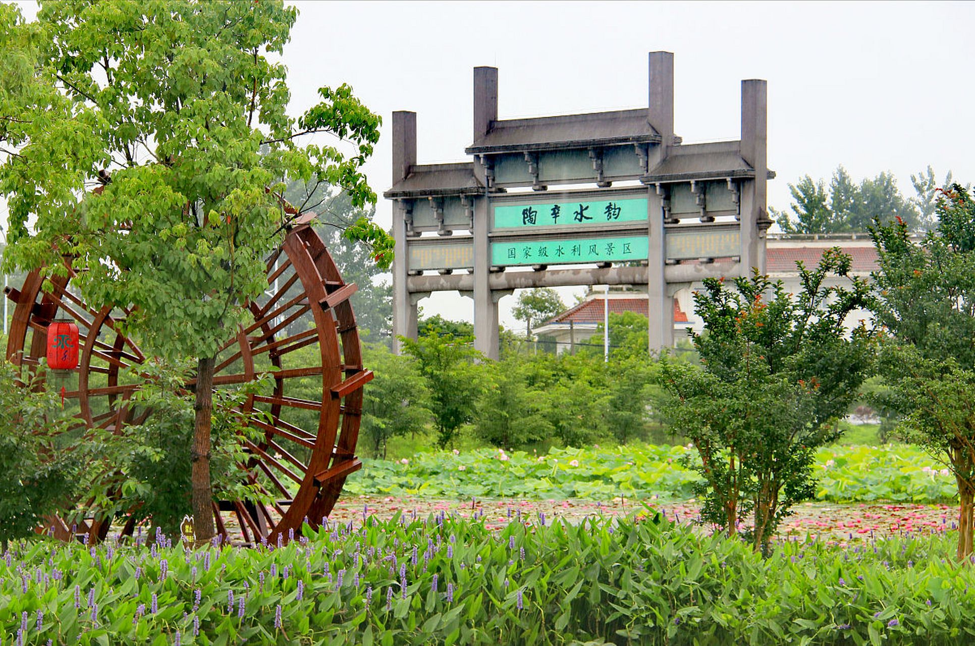 毕业旅行来四川这样耍#  双流大林镇翠湖梨乡以乡村果园生态和城南