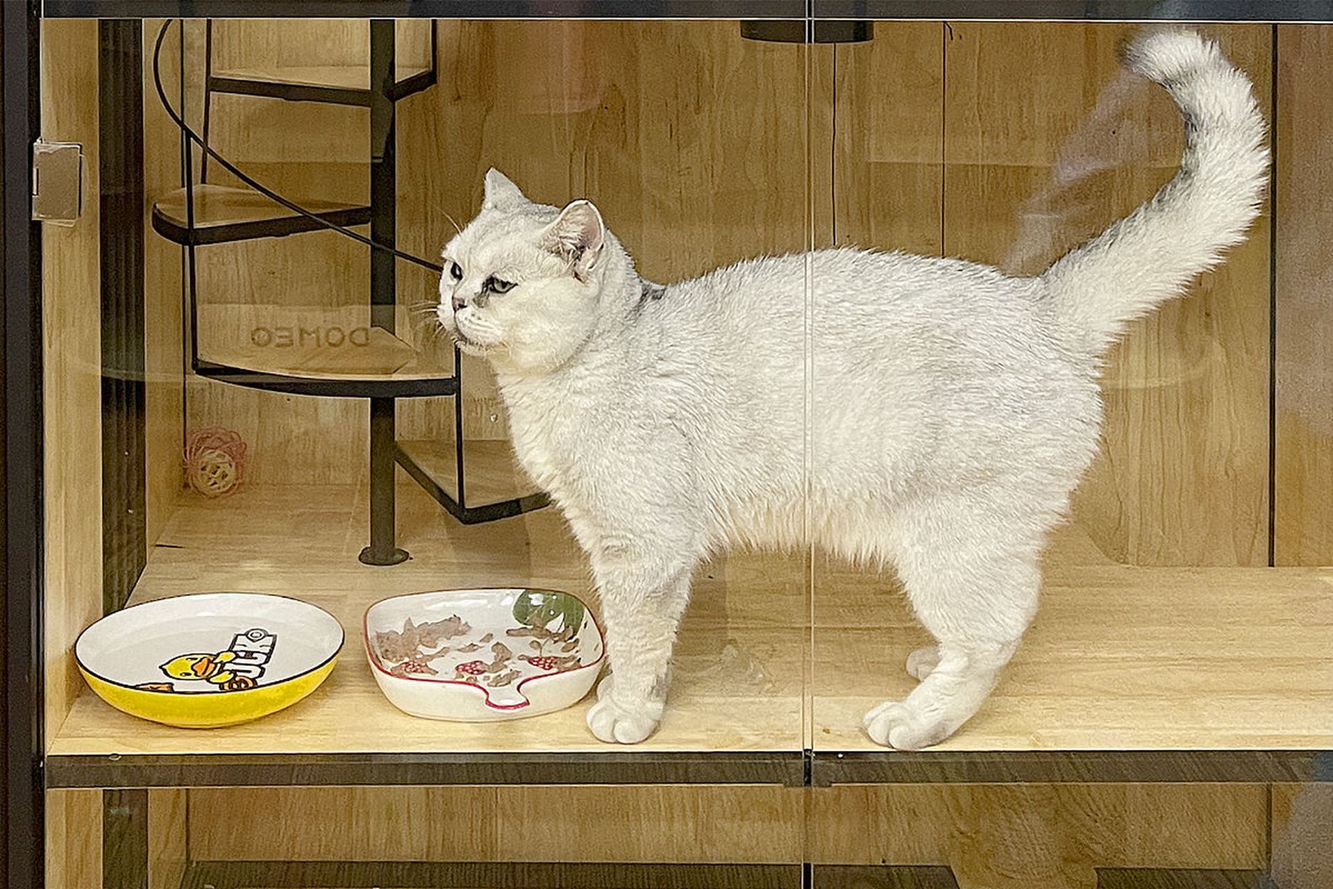 开发定制微信小程序_定制微信开发程序小程序下载_定制开发微信小程序要多少钱