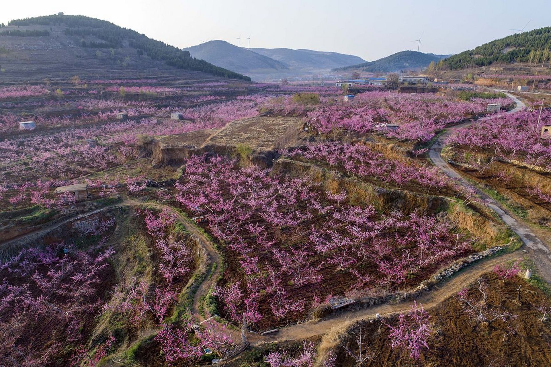 泰山桃花源位于泰山西麓,古时因桃花满峪谷而得名.