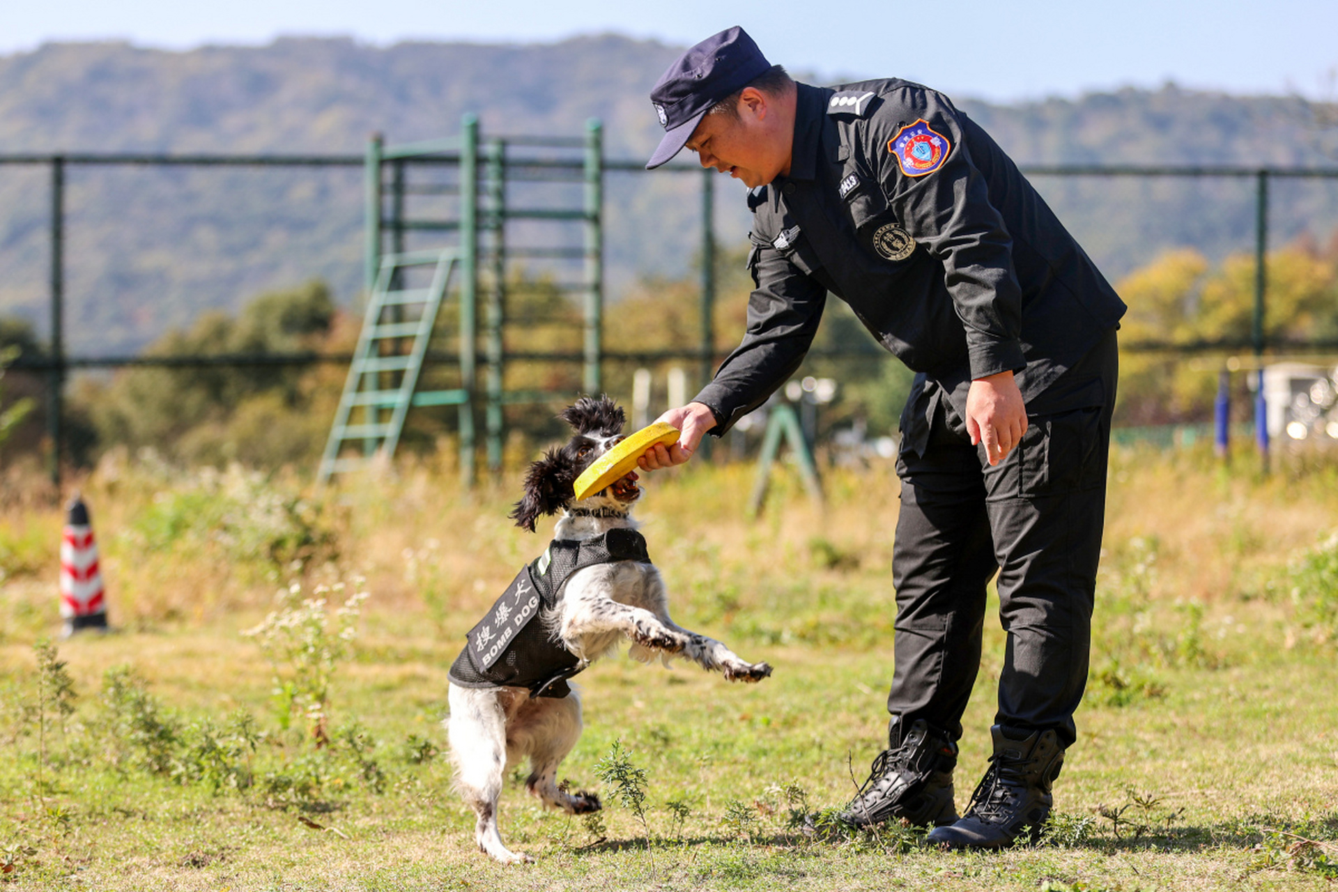 把警察训练成警犬图片