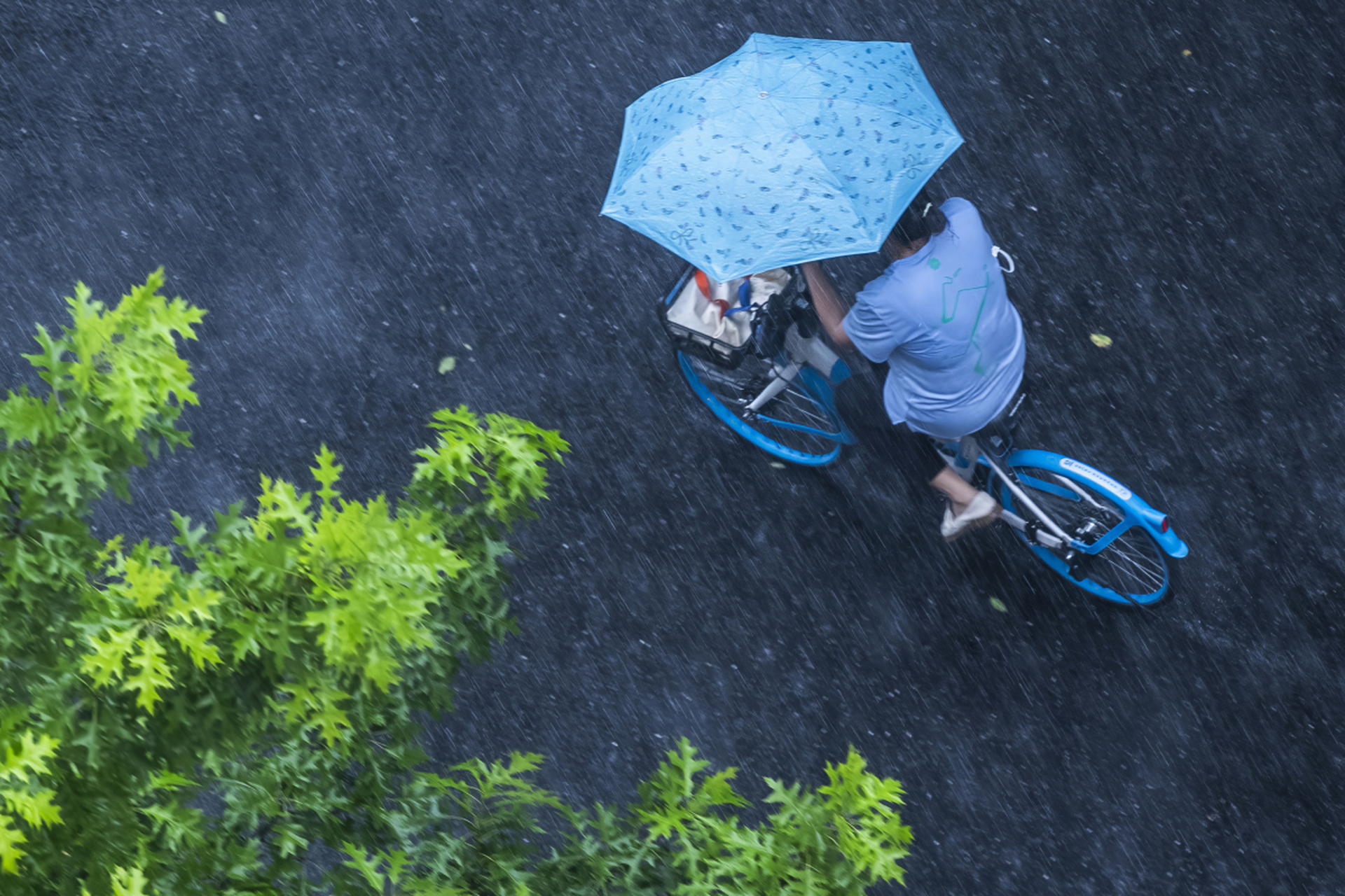 正在下大雨的照片图片