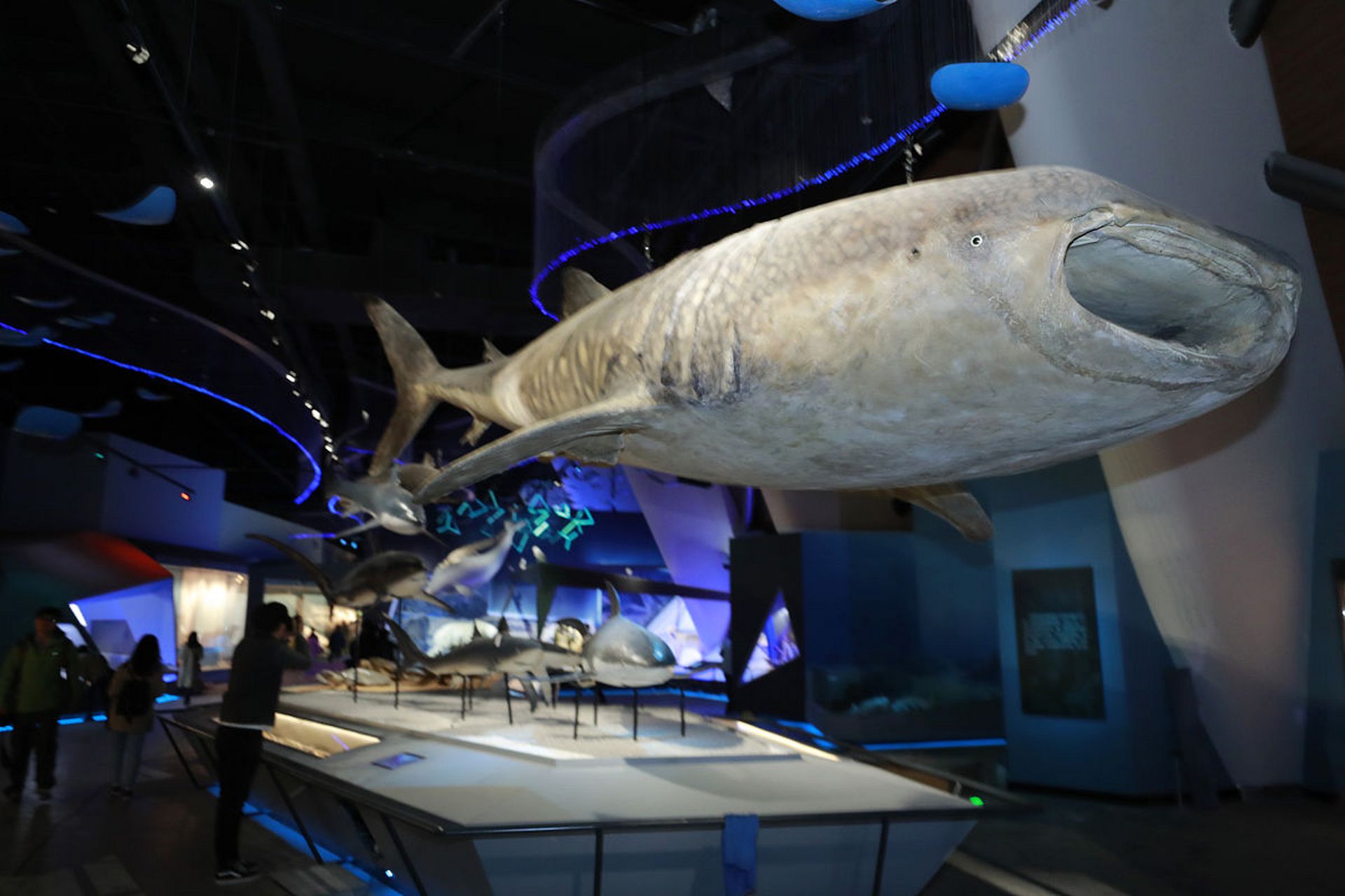 天津国家海洋博物馆是一家以海洋为主题的博物馆,位于天津市滨海新区.