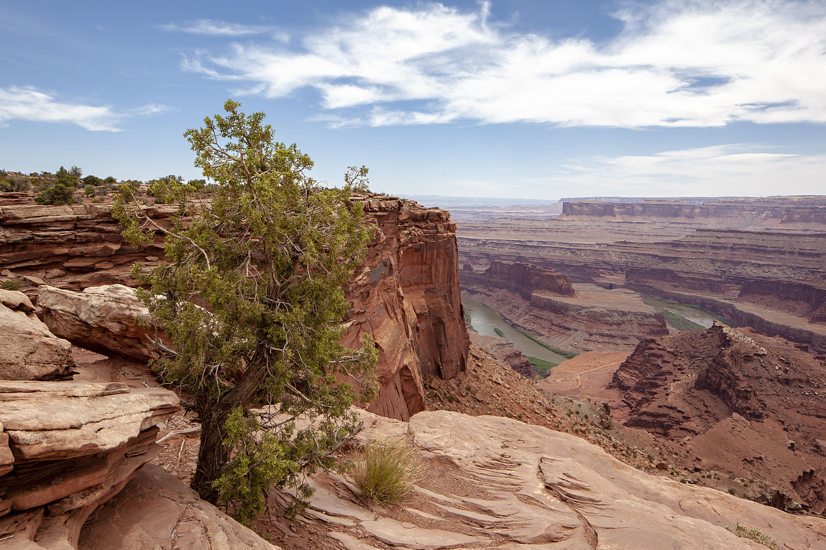 大峡谷国家公园位于美国亚利桑那州北部的凯巴布高原,占地1904平方