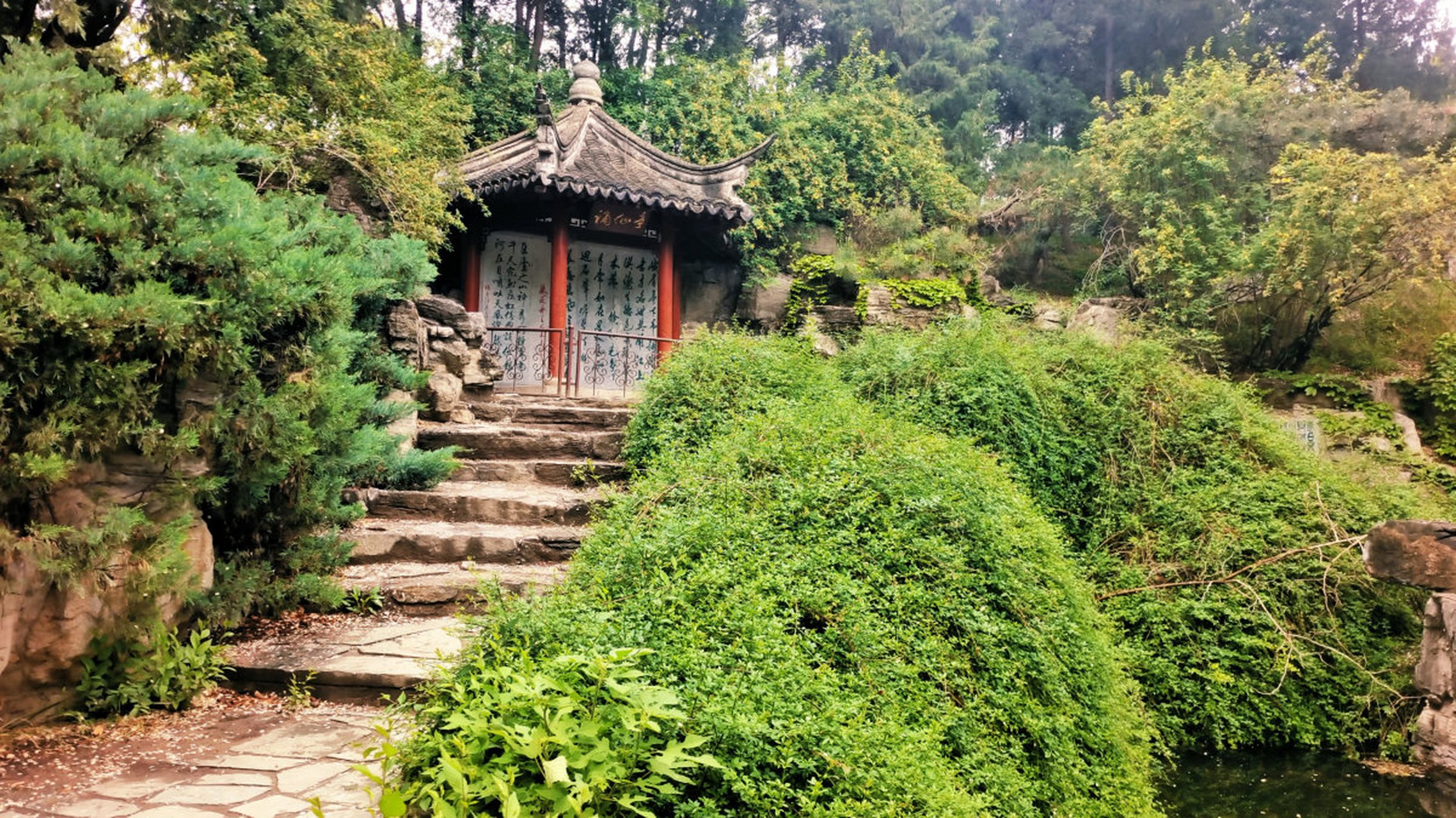 台州黄岩网红景点火爆来袭!踏春天空之城,赏九峰古木风华.