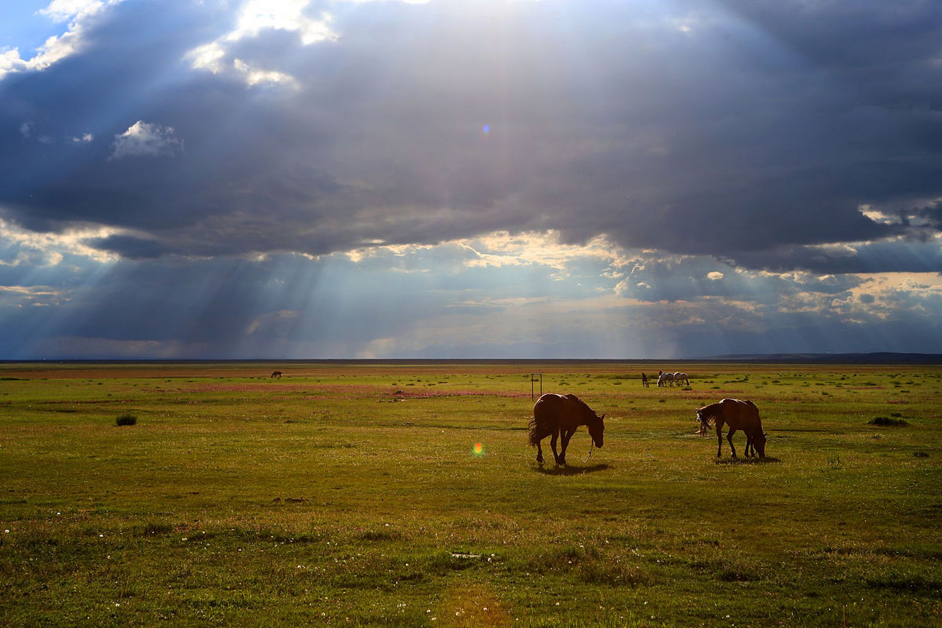 在巴音布鲁克草原拍摄精彩瞬间,需综合运用摄影技巧和注意事项.