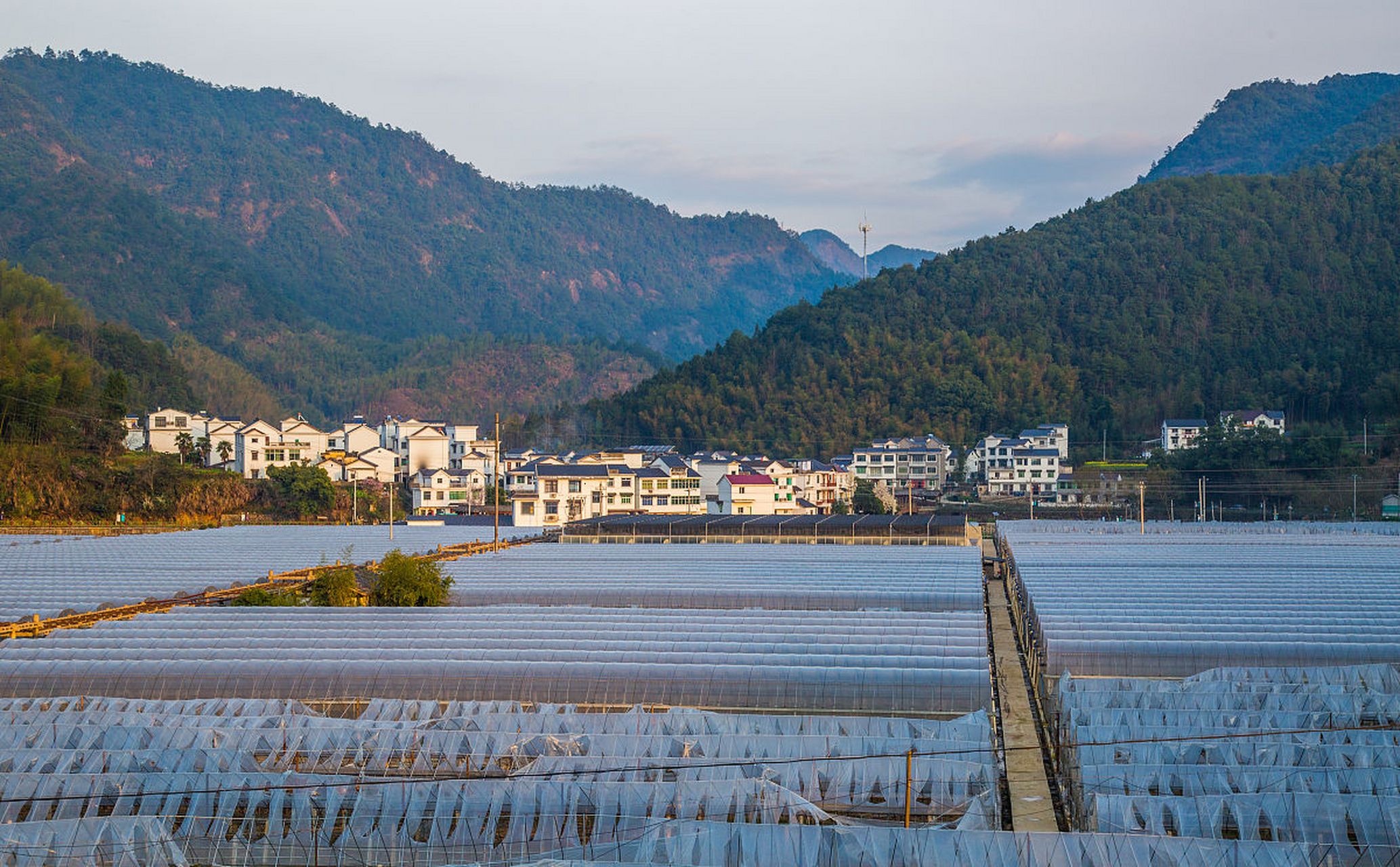 踏春赏景,体验宁波横溪古镇的静谧与美丽.