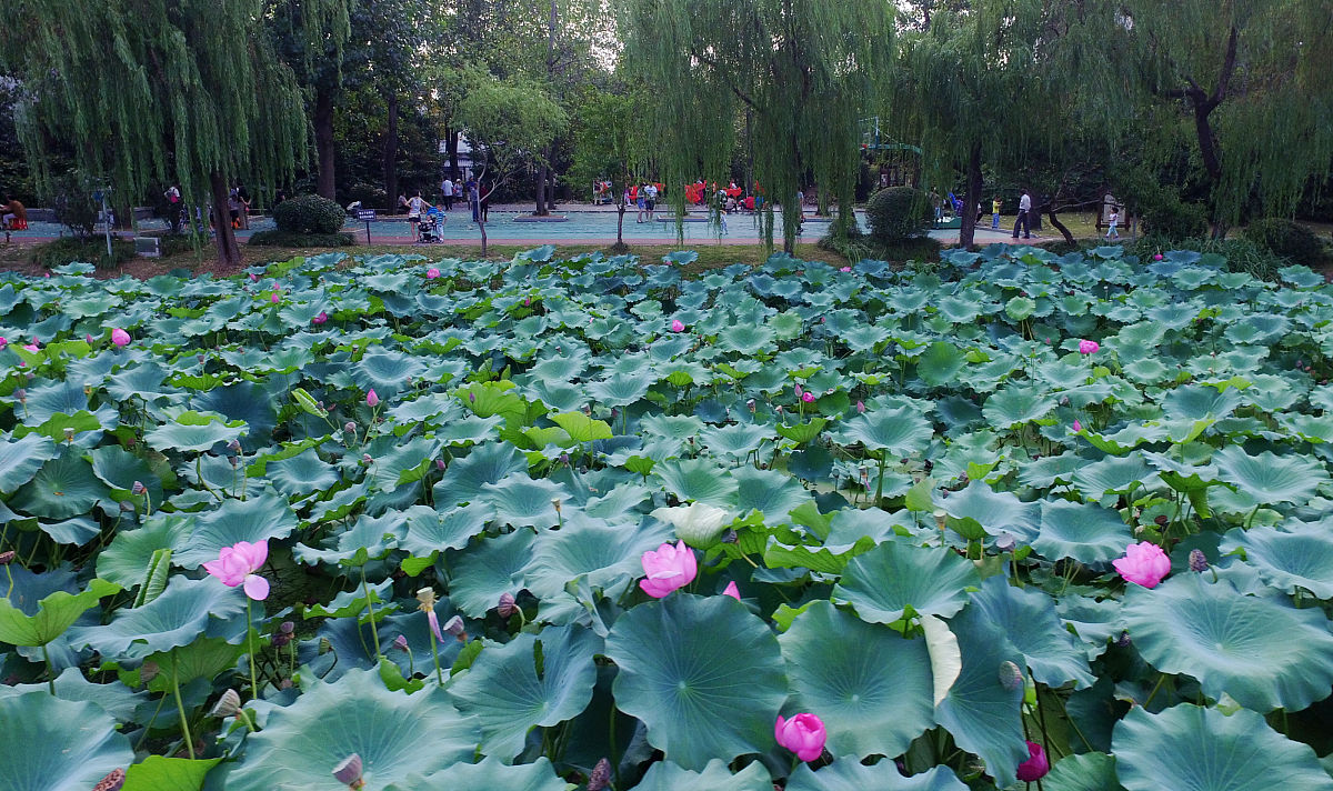 牡丹江莲花湖图片