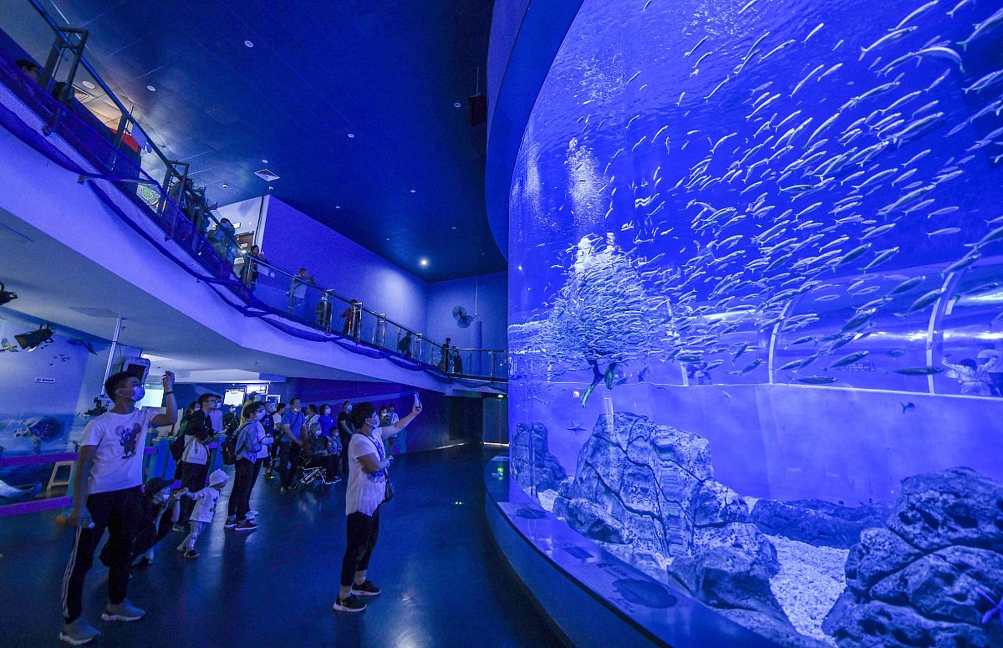海洋馆# 正佳广场海洋馆,广州市中心浪漫好去处!