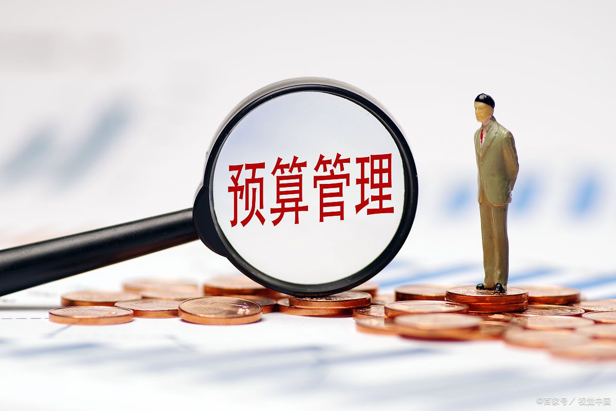 办理预算收入抖音=办理预算收入划分的机构是啥