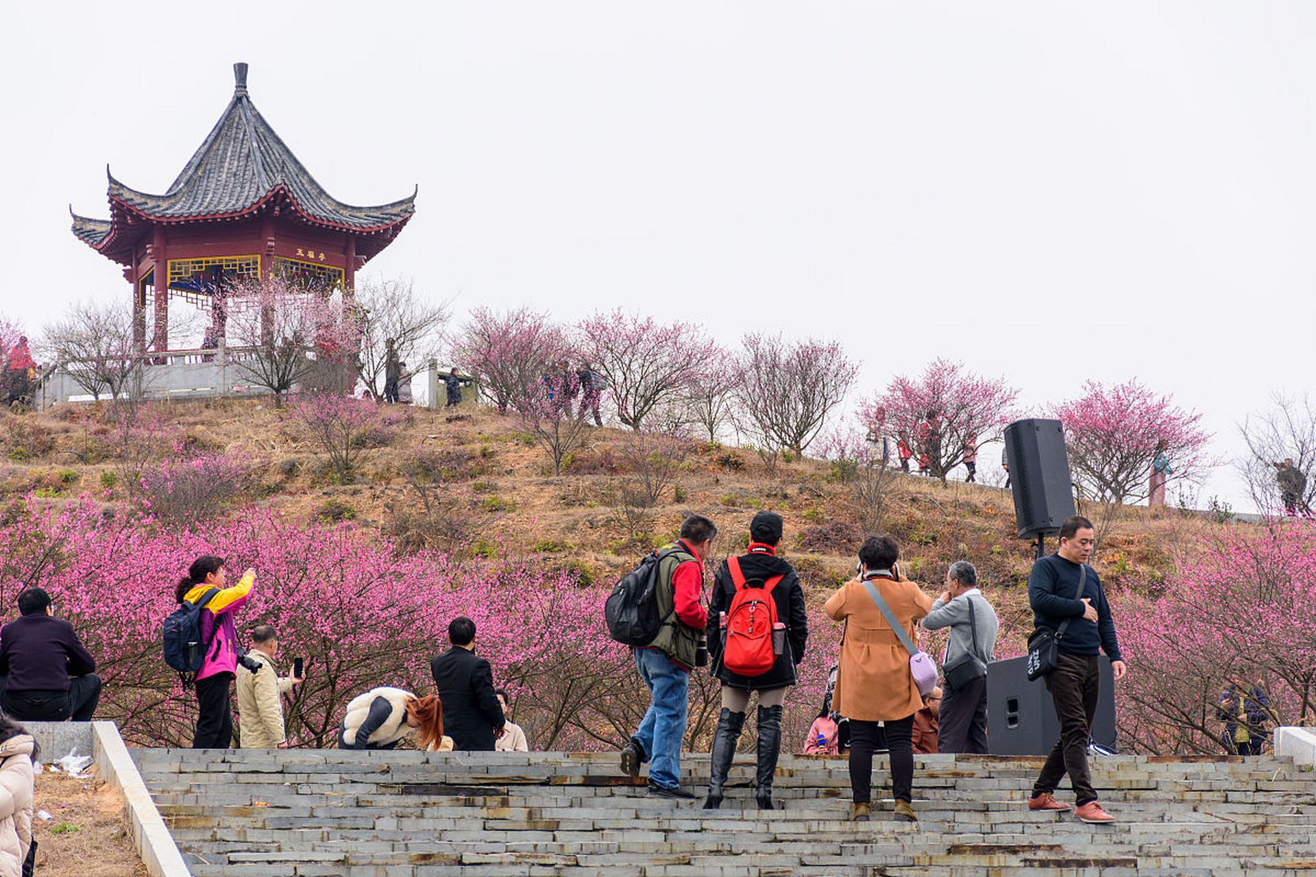 無錫市梅園橫山風景區,一處融自然景觀,人文古蹟,名花異卉,園林建築及