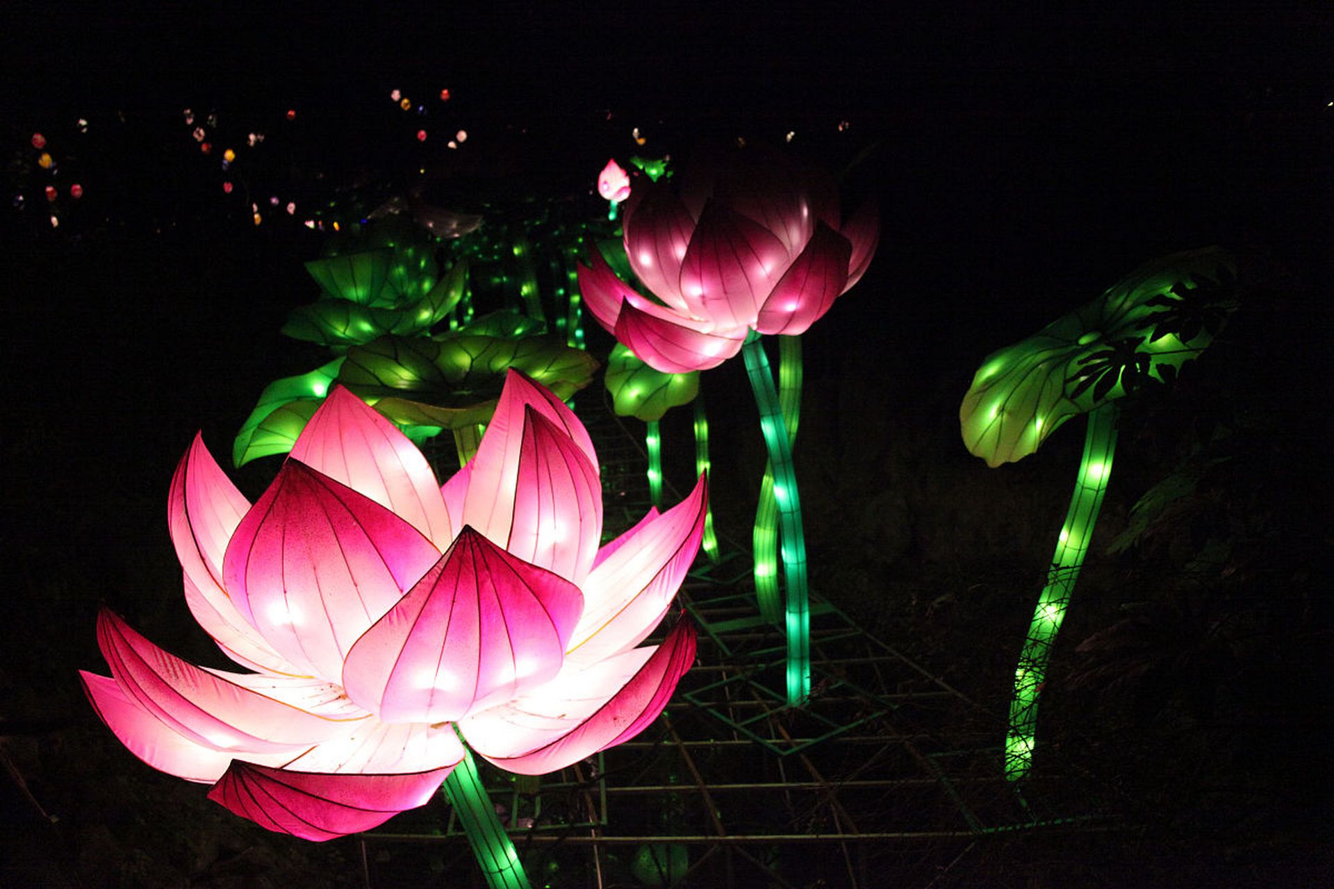 荷花灯也叫"和"灯或者"合"灯,属于河灯的一种,因为谐音,所以寓意着