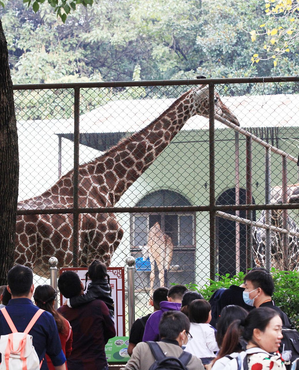 红山森林动物园图片图片