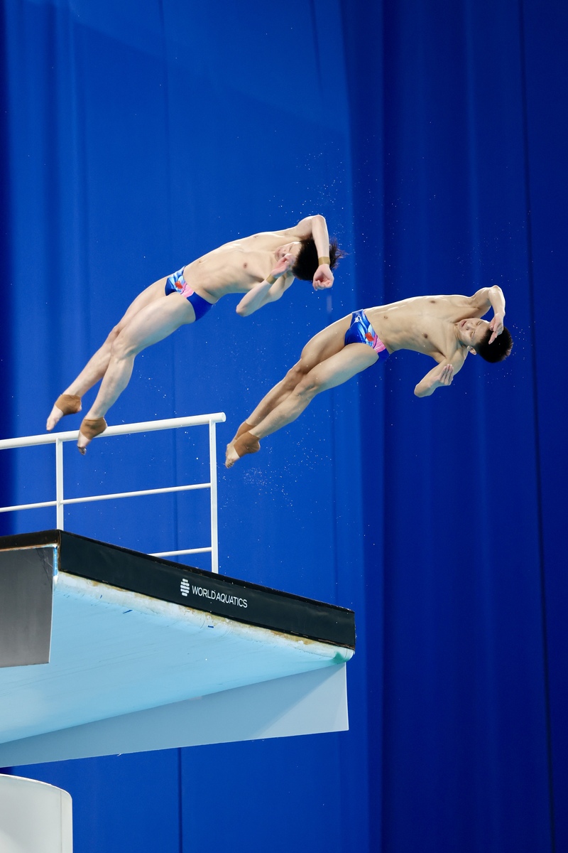 由于最近关注跳水运动,所以我对于跳水运动里出现的一些事物非常感