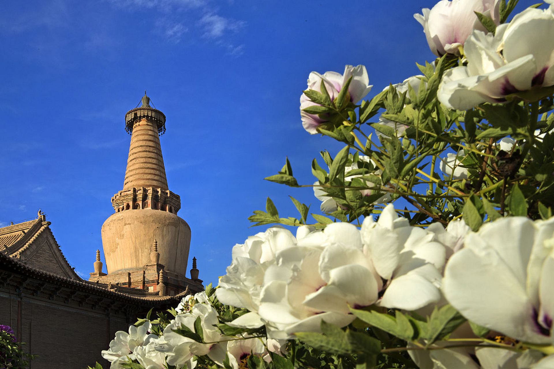今日凌晨,甘肃山丹大佛寺遭遇可怕的火灾,一时间佛像前的房屋沦为