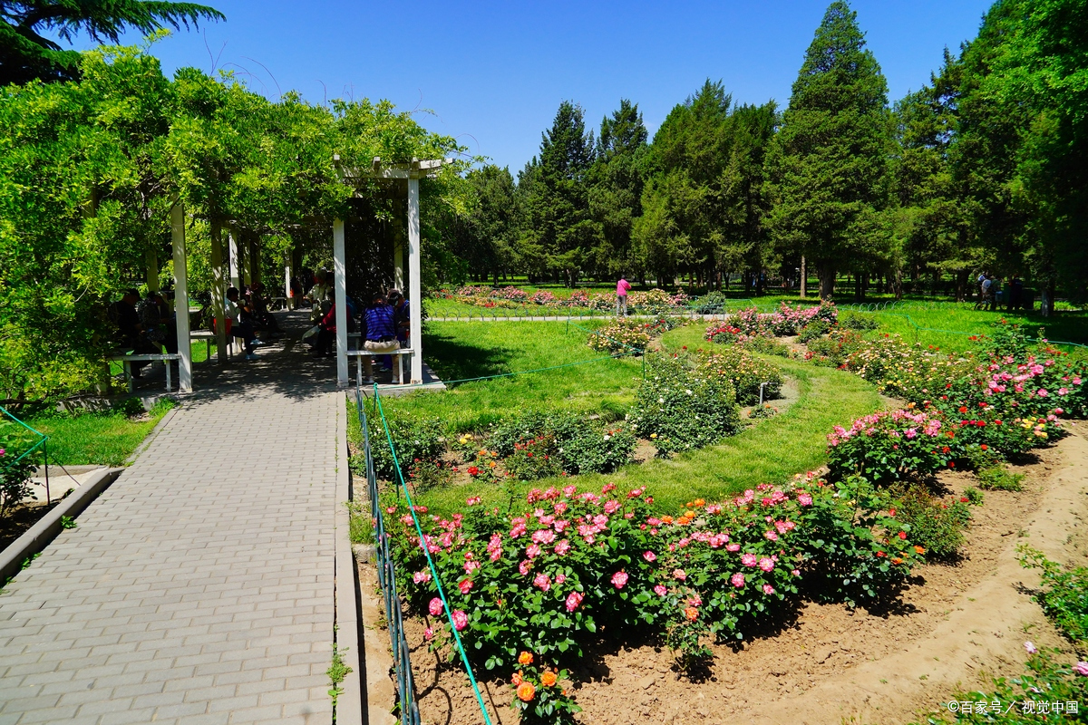 一段很有道理的话:"觉得沮丧时,就摸摸你的肚脐眼