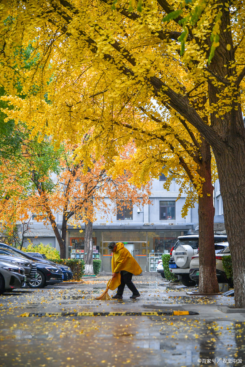 有时候想一想,一些很小的决策和举动,就会让人感觉到一座城市的温度