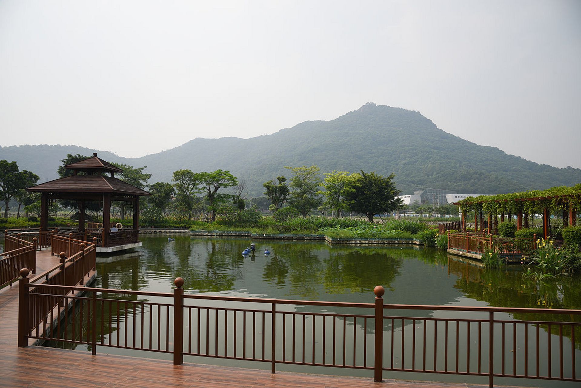 广东三水森林公园旅游攻略  广东三水森林公园,一个集自然风光,人文