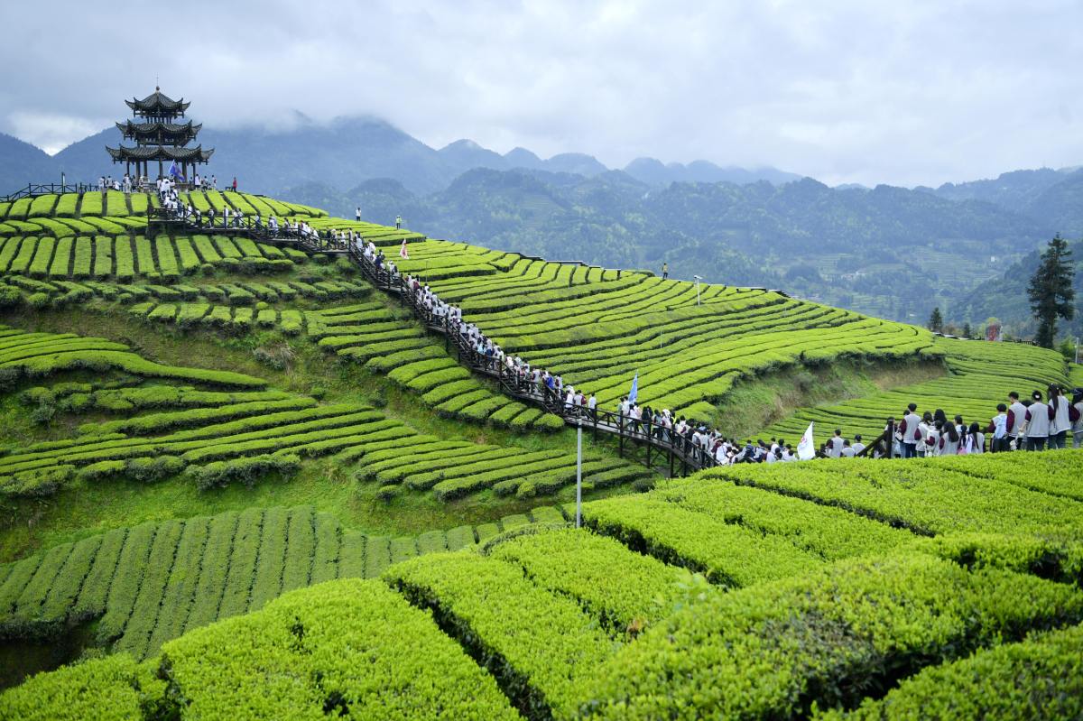 雅安旅游十大必去景点,你去过吗?