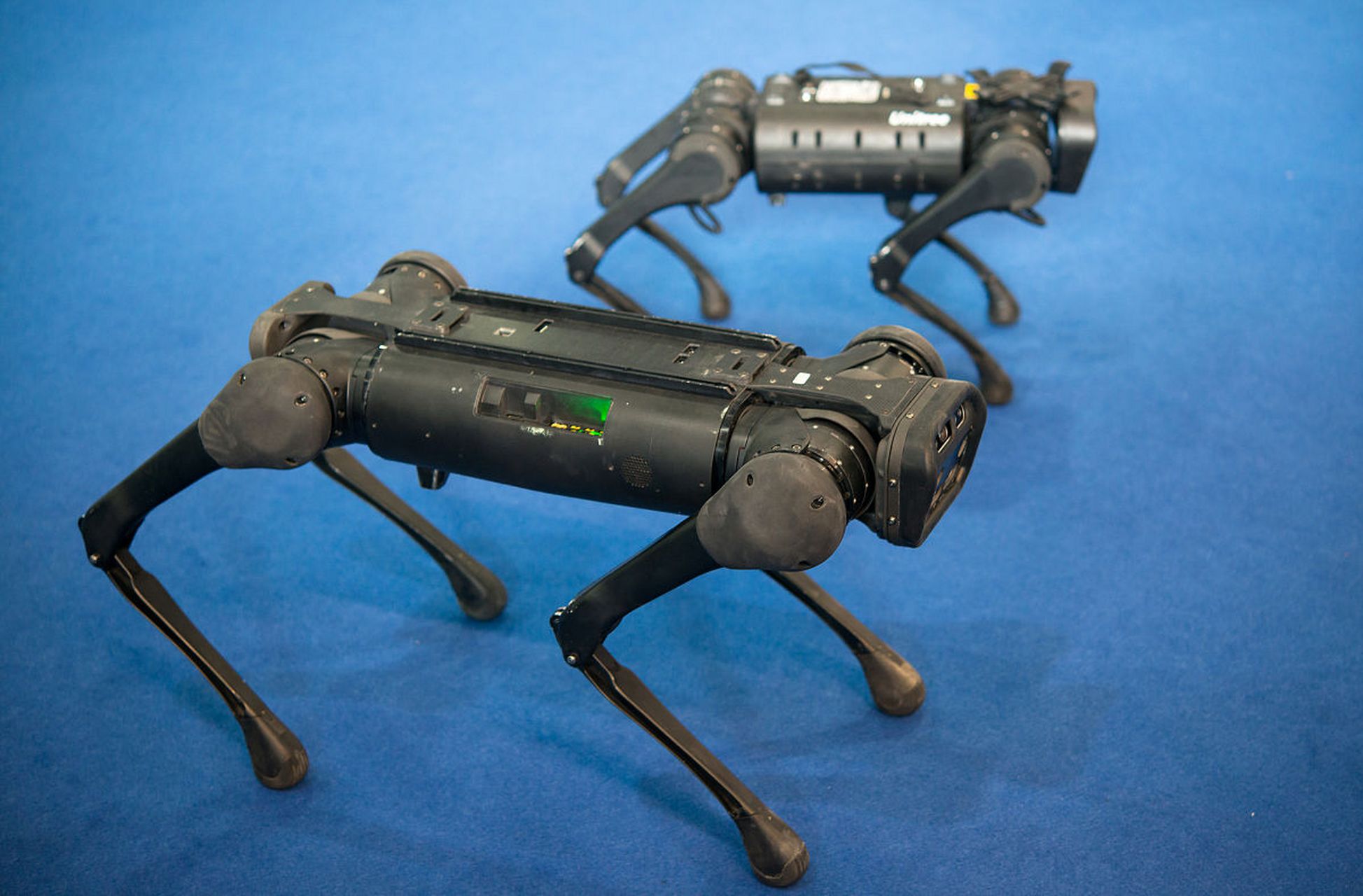 cyberdog 2的头部采用了杜宾犬的设计,腿部和腰身比例更加真实自