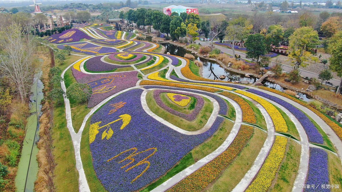 成都周边花海图片