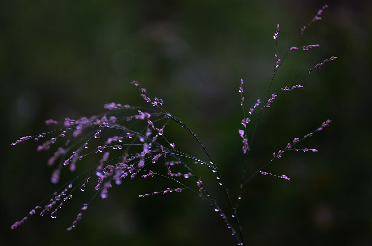 宝藏作者(尾鱼)作品合集