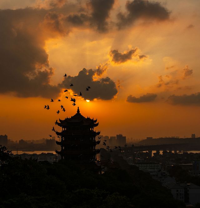 风景
