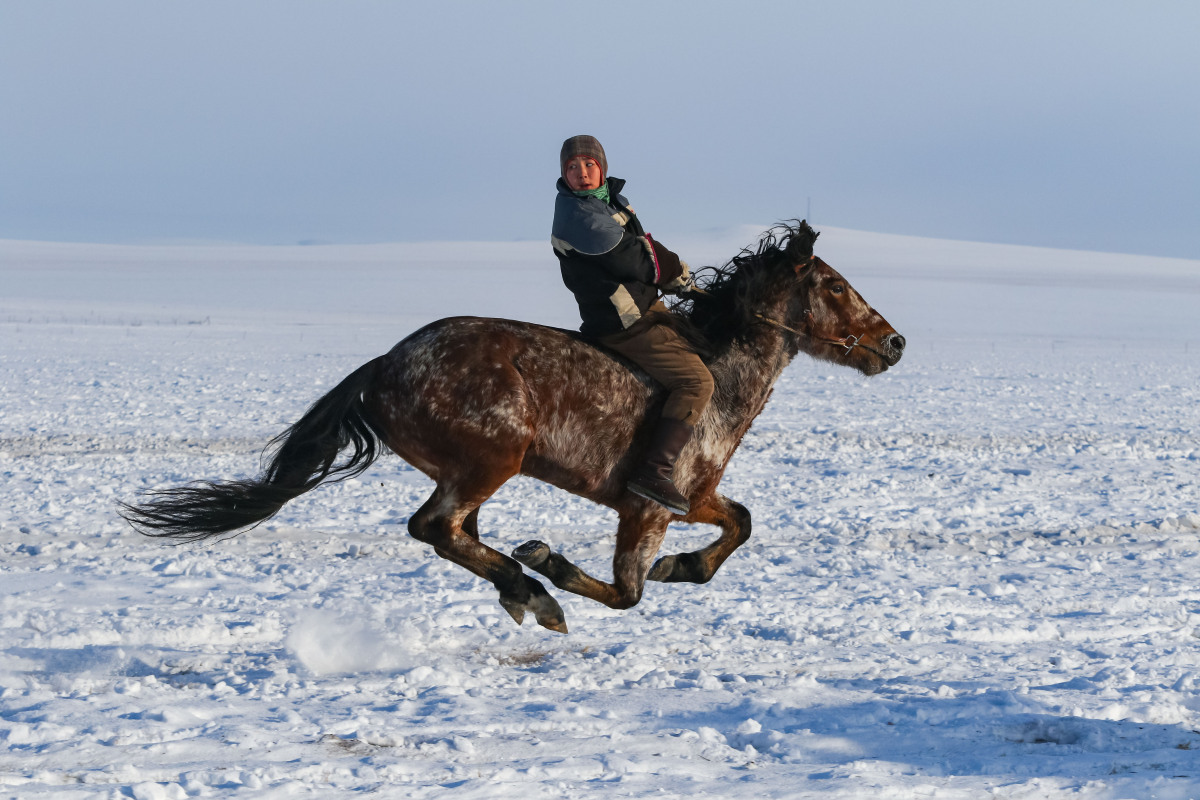 蒙古人骑马图片高清图片