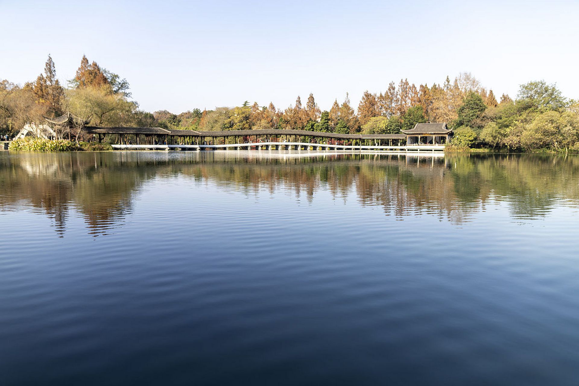 秋日,西湖的景色仿佛一幅幅画卷,让人心旷神怡.