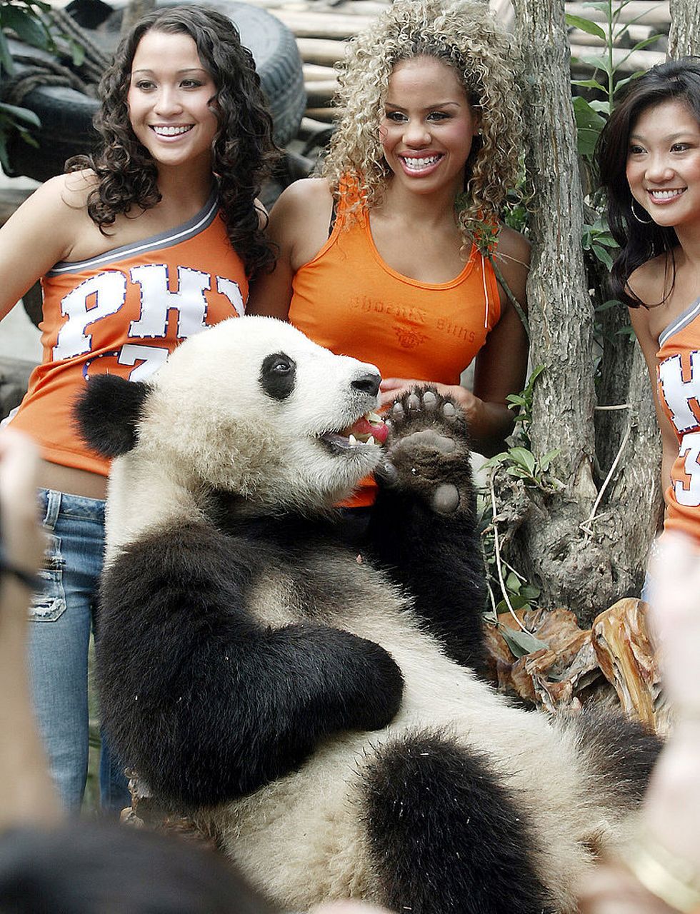 国人尽皆知悉,花花洗澡的新闻传遍大江南北.