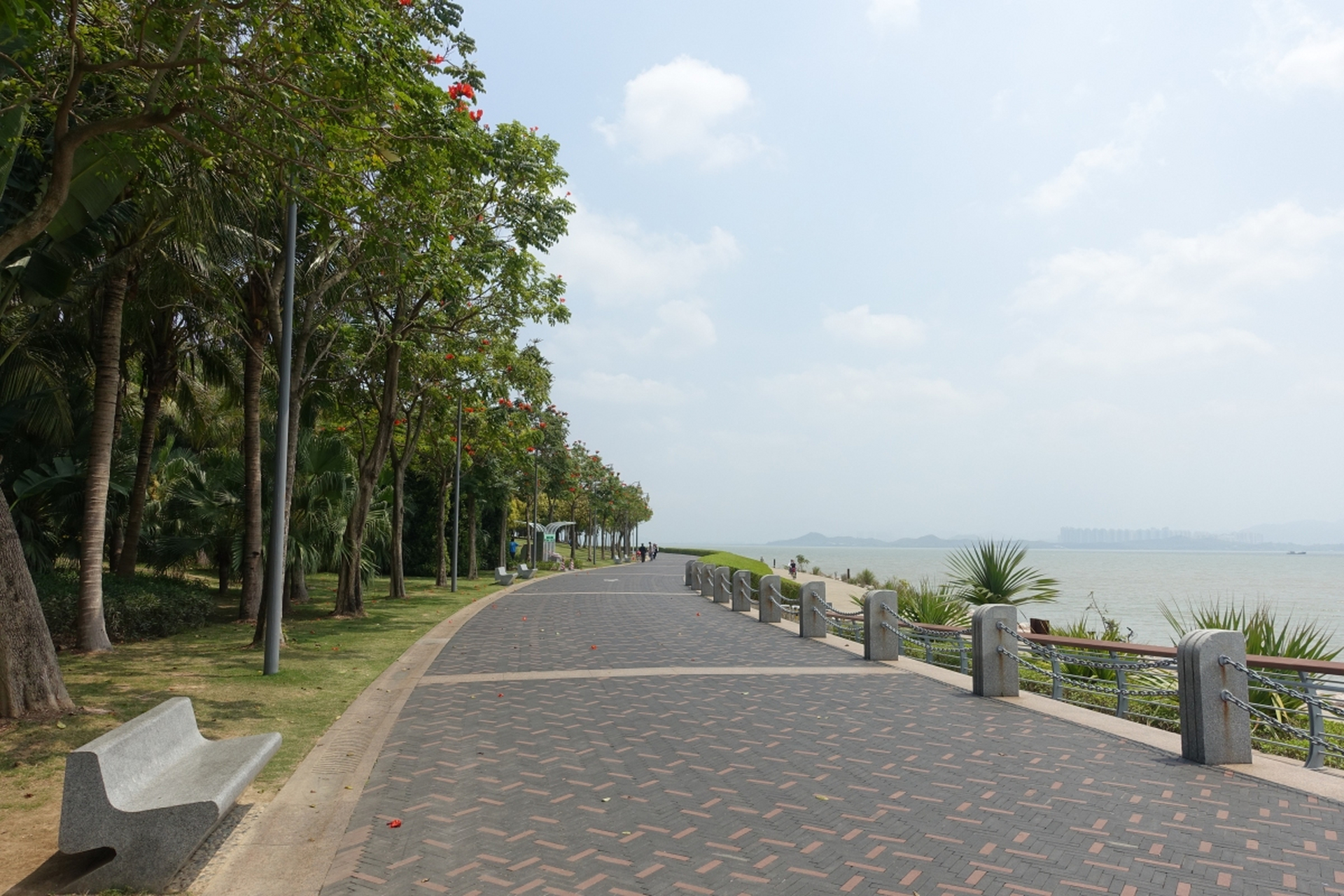 广东深圳湾公园,这个美丽的海滨公园,对我来说,是一个可以尽情享受