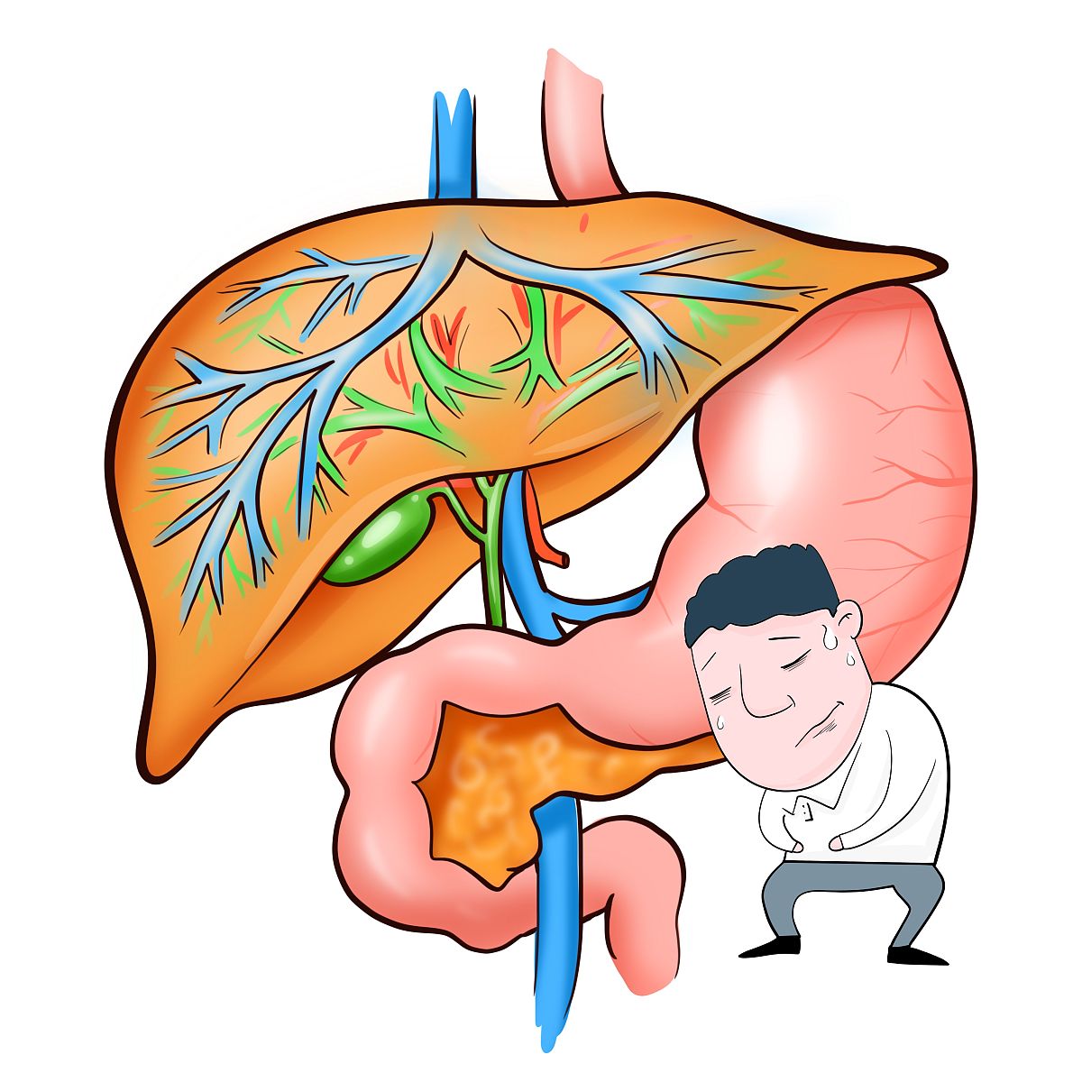 腹水卡通图片