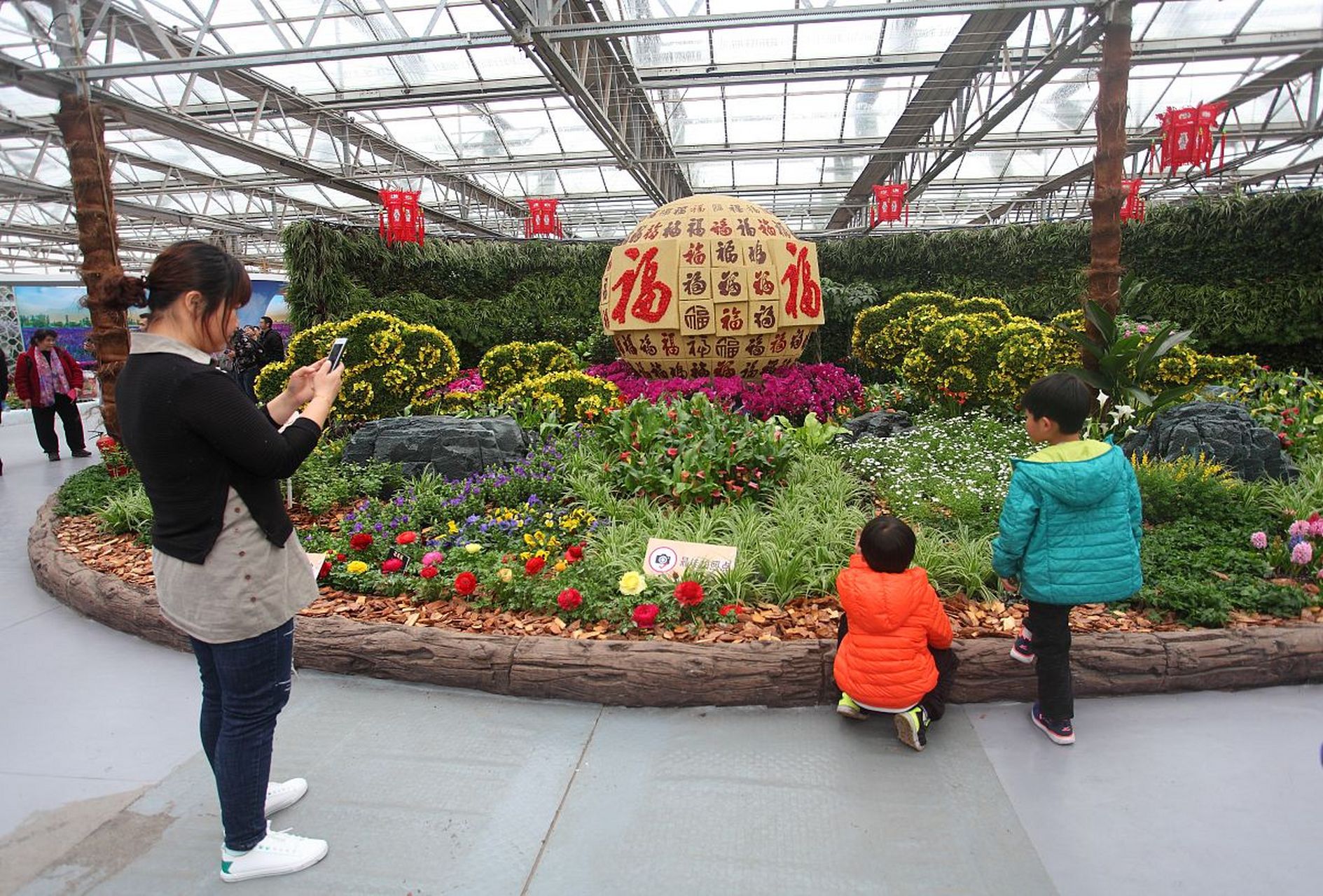 夏日闪光旅行家# 洋河农业嘉年华是一个集农业生产,生态旅游,科普