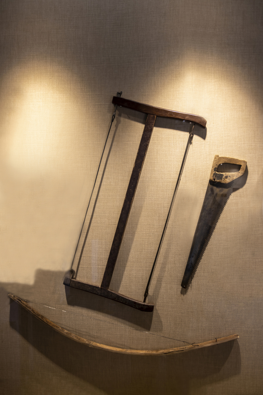 它愤怒的转过身去,一口咬住锯子,结果锯子丝未伤,反而它把自己的子种