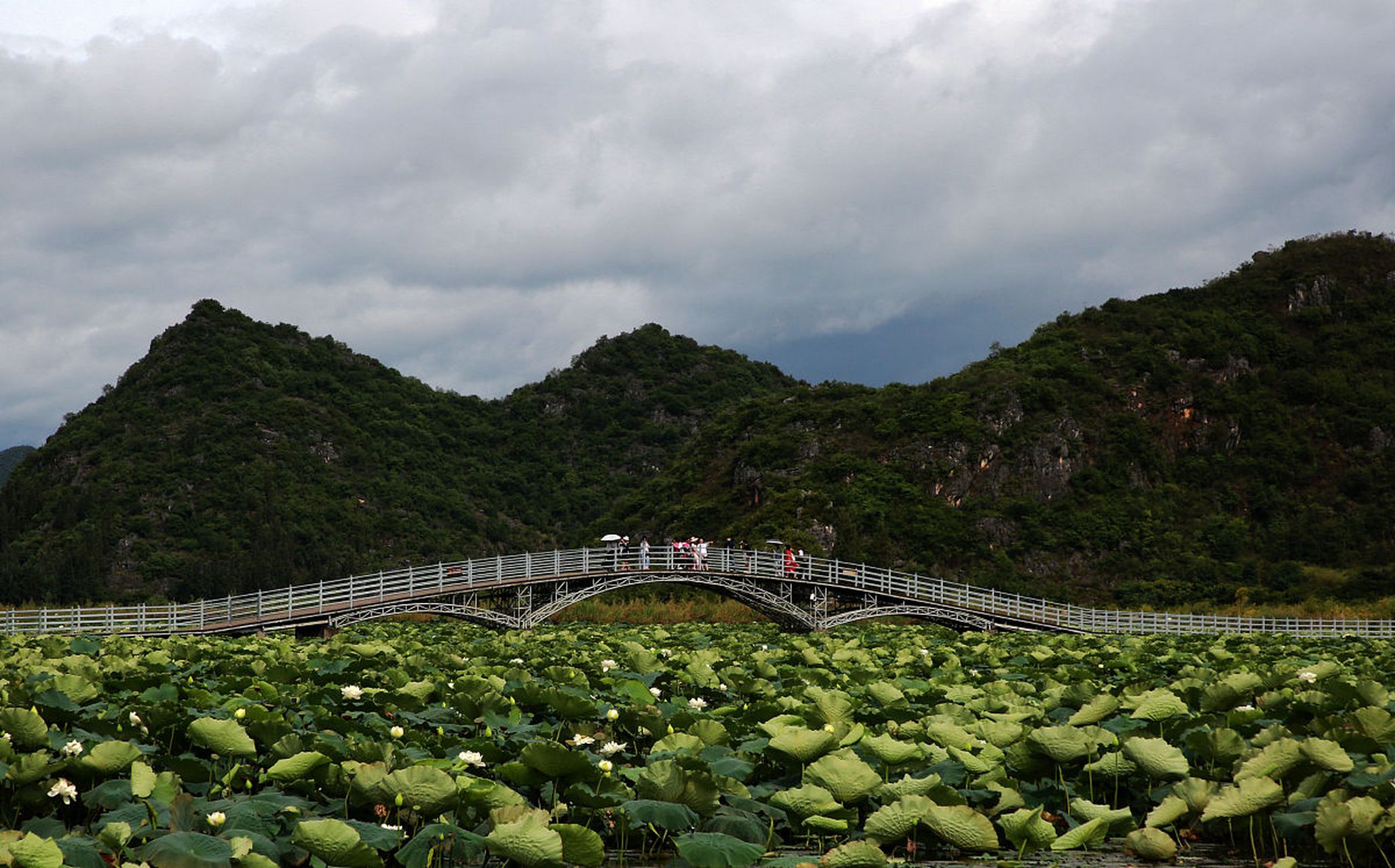 位于云南省丘北县的普者黑旅游景区,被誉为三生三世十里桃花的拍摄地