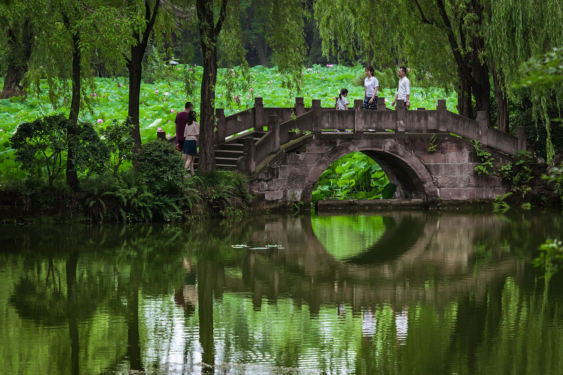 浣花溪公园美景图片